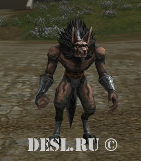    (Frozen Wasteland Werewolf) Lvl. 38, ID. 22025