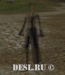   (Vagabond of the Ruins) Lvl. 40, ID. 22028