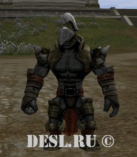    (Ragna Orc Commander) Lvl. 49, ID. 22039