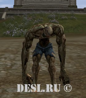   (Dark Corpse) Lvl. 40, ID. 22045