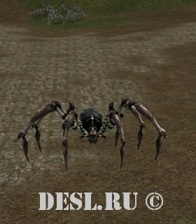   (Dark Spider) Lvl. 42, ID. 22048