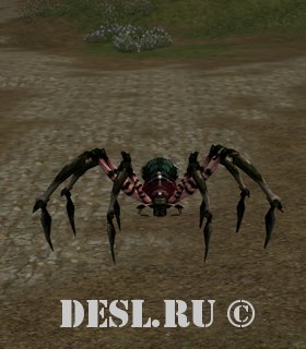   (Spelunking Spider) Lvl. 47, ID. 22051