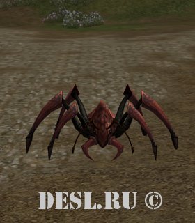   (Spelunking Ant) Lvl. 50, ID. 22057