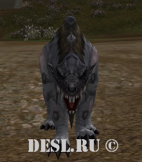   (Lost Bandersnatch) Lvl. 53, ID. 22079