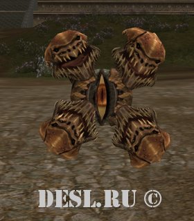   (Lost Watcher) Lvl. 53, ID. 22081