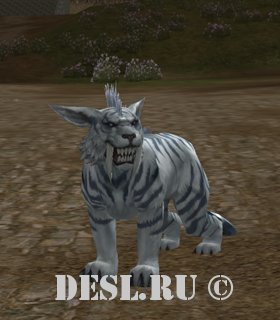  (Panthera) Lvl. 56, ID. 22084