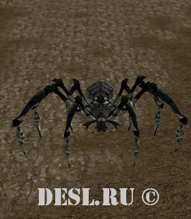   (Frost Tarantula) Lvl. 58, ID. 22090
