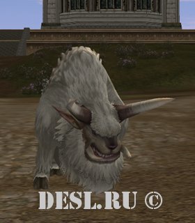   (Lost Buffalo) Lvl. 60, ID. 22093