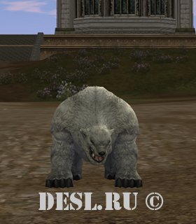   (Ursus Cub) Lvl. 61, ID. 22095