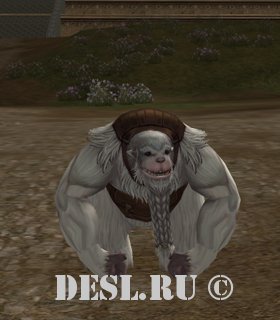  (Frost Yeti) Lvl. 63, ID. 22098