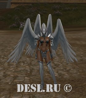   (Divine Advocate) Lvl. 78, ID. 22130
