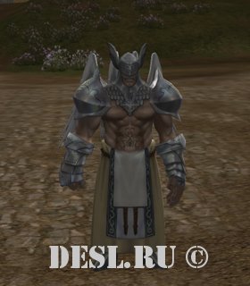   (Pilgrim of Light) Lvl. 78, ID. 22131