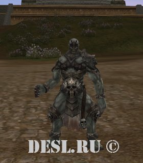   (Chapel Guard) Lvl. 78, ID. 22138