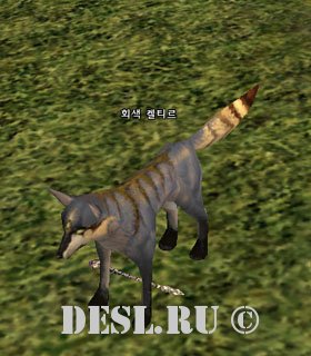   (Grey Keltir) Lvl. 2, ID. 22230