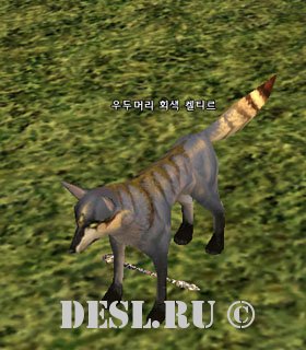    (Dominant Grey Keltir) Lvl. 3, ID. 22231