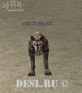    (Dominant Black Wolf) Lvl. 5, ID. 22233