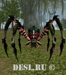   (Crimson Spider) Lvl. 16, ID. 22244