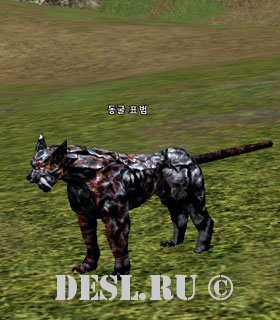   (Grotto Leopard) Lvl. 16, ID. 22250