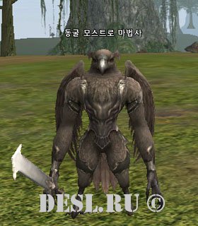    (Shady Muertos Wizard) Lvl. 19, ID. 22256