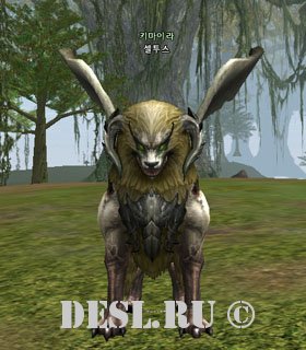  (Celtus) Lvl. 81, ID. 22353