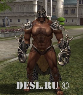   (Fanatic of Infinity) Lvl. 76, ID. 22509