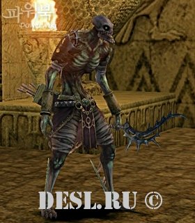   (Invader Archer of Nightmare) Lvl. 81, ID. 22714