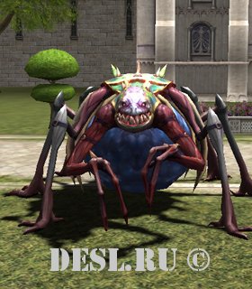    (Awakened Ancient Soul Devourer) Lvl. 81, ID. 25646