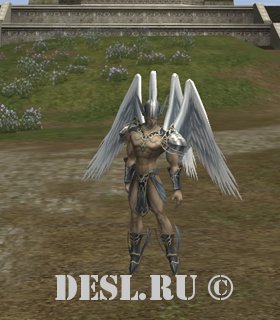   (Splendor Disciple) Lvl. 80, ID. 29097