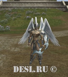   (Splendor Worshiper) Lvl. 80, ID. 29098