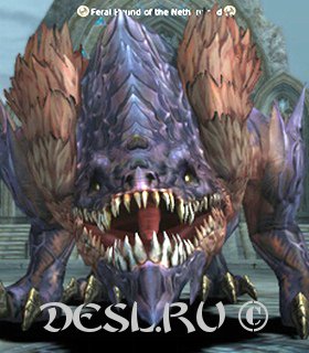   (Feral Hound of the Netherworld) Lvl. 82, ID. 29151