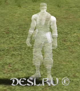   (Ghost of Adventurer) Lvl. 70, ID. 31538
