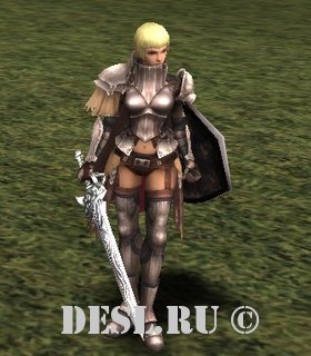   (Guard Captain) Lvl. 78, ID. 35989