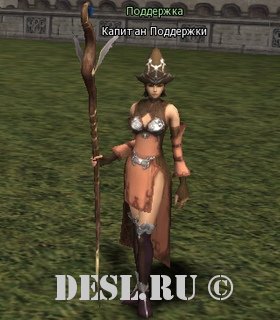   (Support Unit Captain) Lvl. 78, ID. 36199